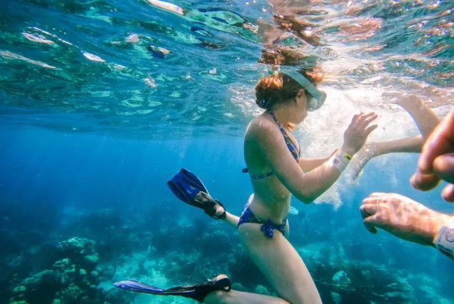 Isla Catalina y Altos de Chavón