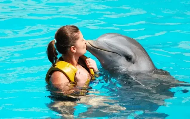 Delfines en Punta Cana