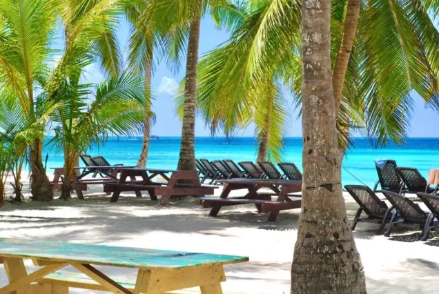 Dos Islas - Un Día: Isla Catalina e Isla Saona