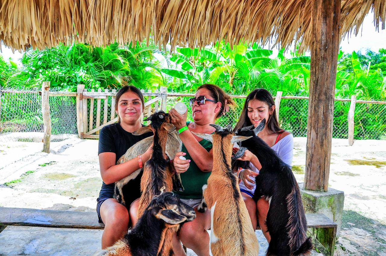 Monkey Sanctuary
