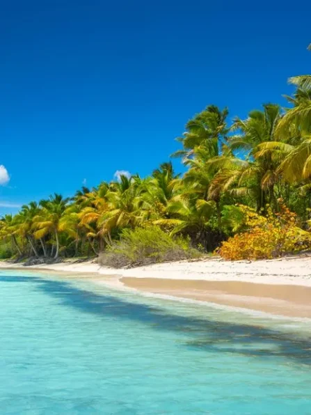 2.-Isla-Saona-playas-1_result